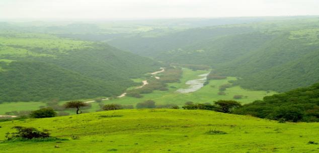 Ambience  Travels  and Tourism LLC UAE. | Enchanting Salalah